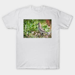 Dunlin wading bird on the shore T-Shirt